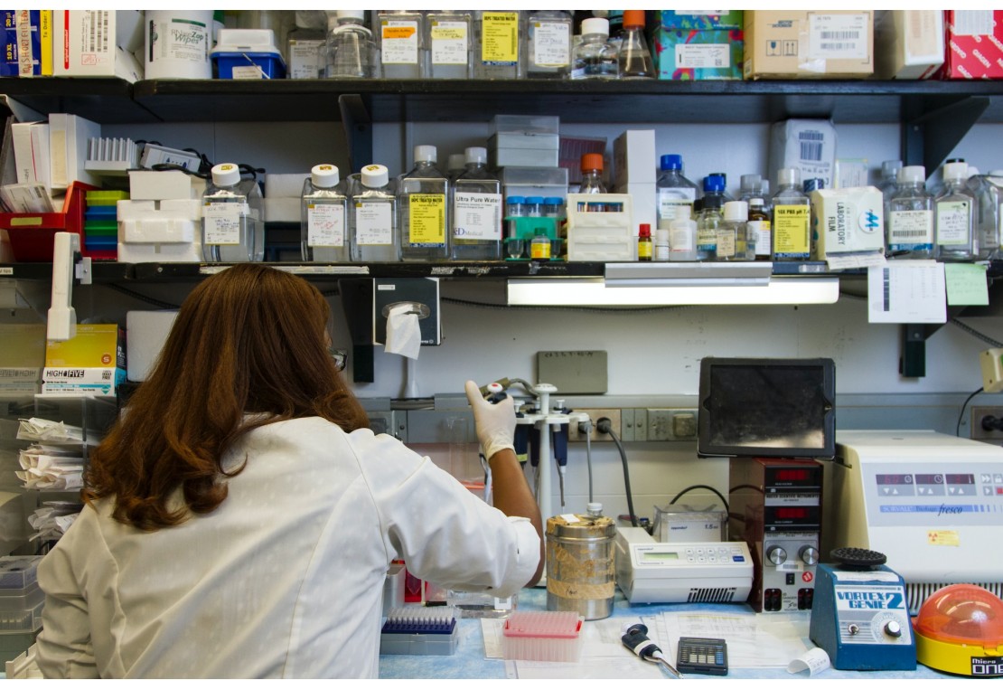 What is the Role of TGA Crucibles in Characterizing Biomaterials?