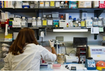 What is the Role of TGA Crucibles in Characterizing Biomaterials?